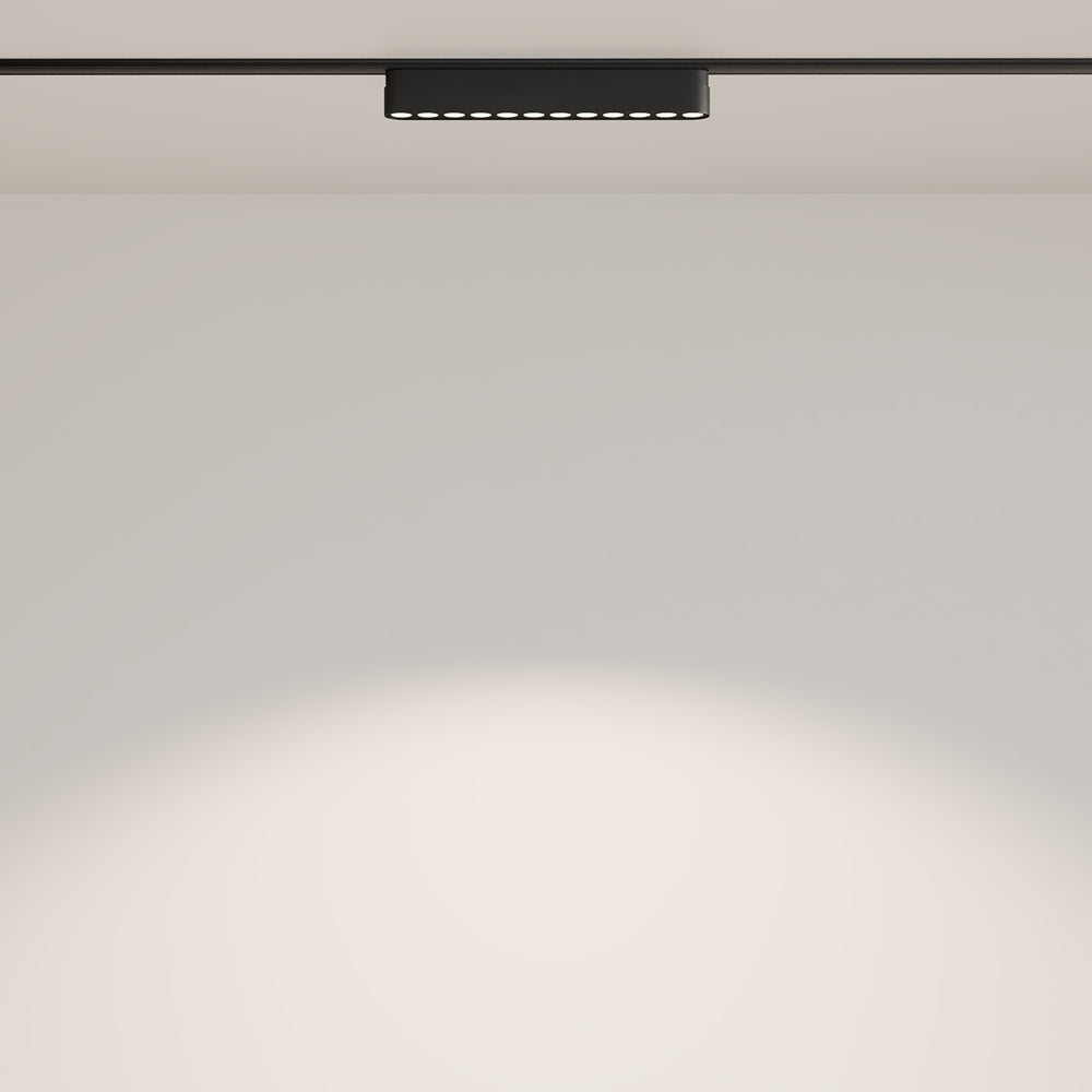 Points Spot noir