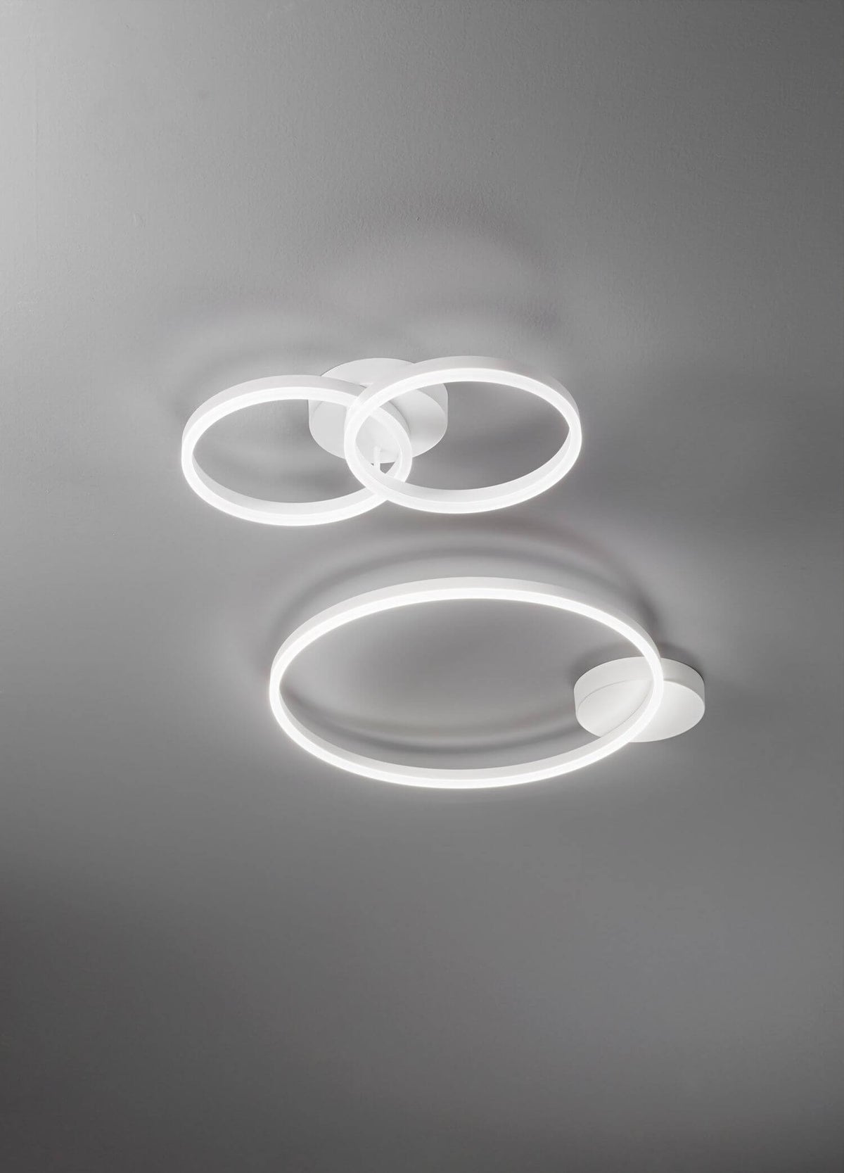 Vue en perspective de deux anneaux lumineux blancs fixés au plafond, avec ombres douces.