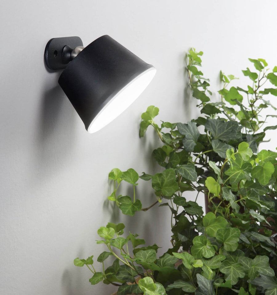 Lampe noire fixée au mur près d'un feuillage vert, éclairage extérieur en situation.
