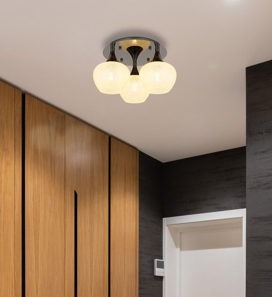 Luminaire installé au plafond dans une entrée moderne avec placard en bois clair.