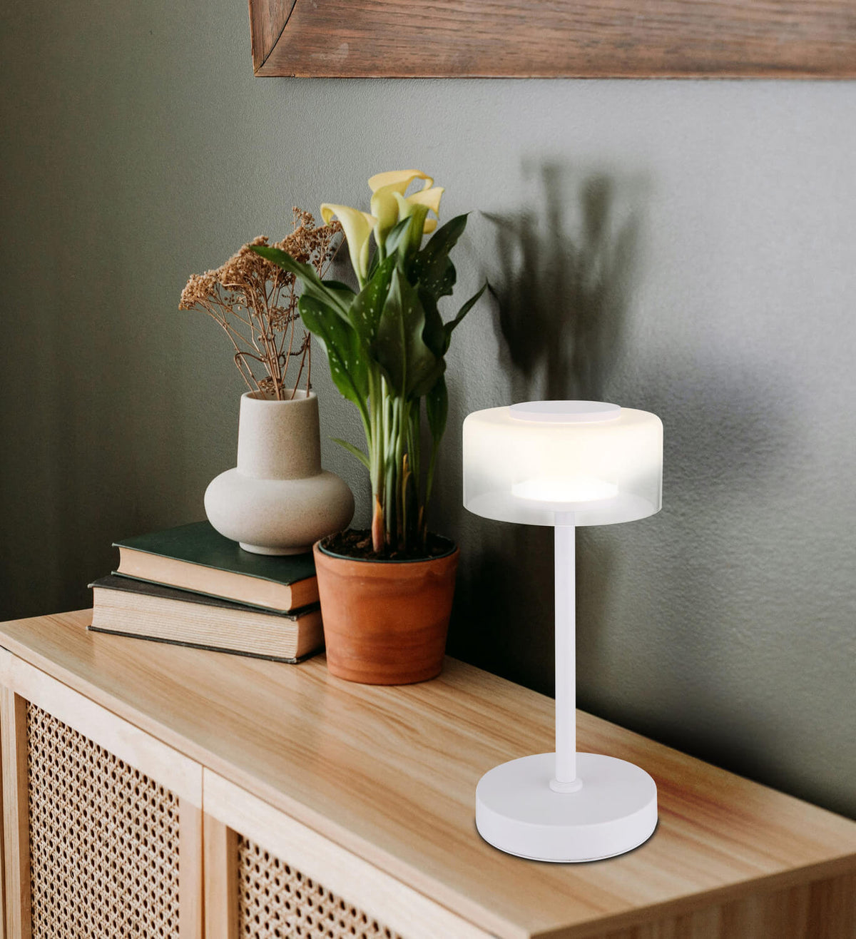 Lampe allumée posée sur un meuble en bois avec plantes et livres.