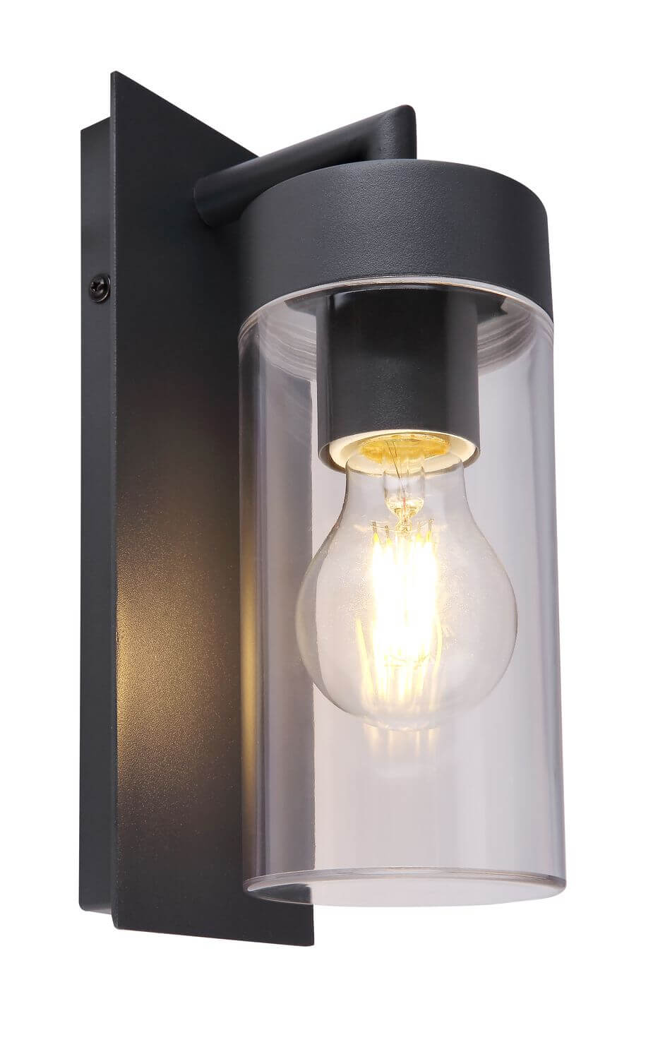 Luminaire extérieur Vessa anthracite et aluminium