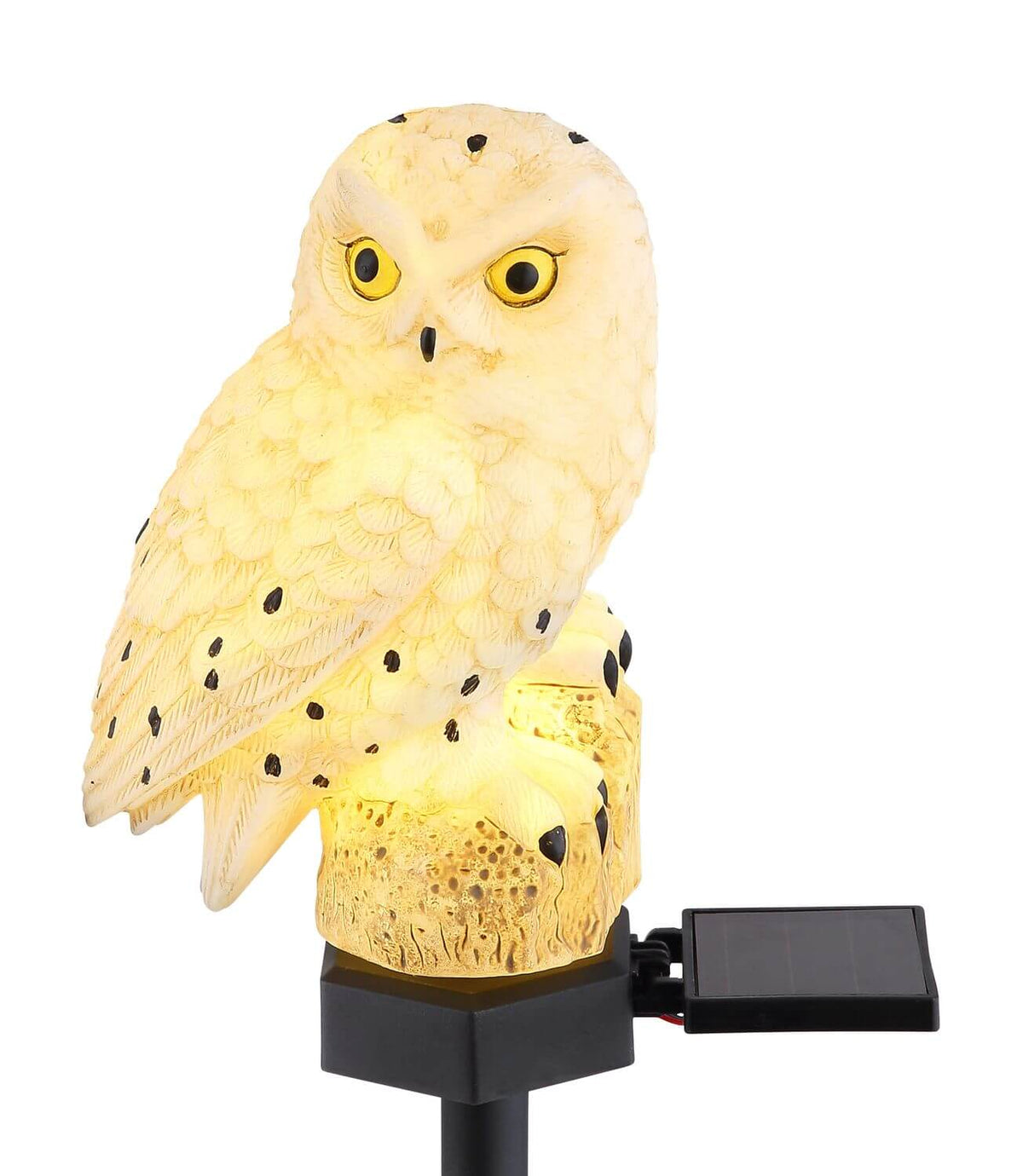 Gros plan sur la chouette lumineuse et son panneau solaire noir.