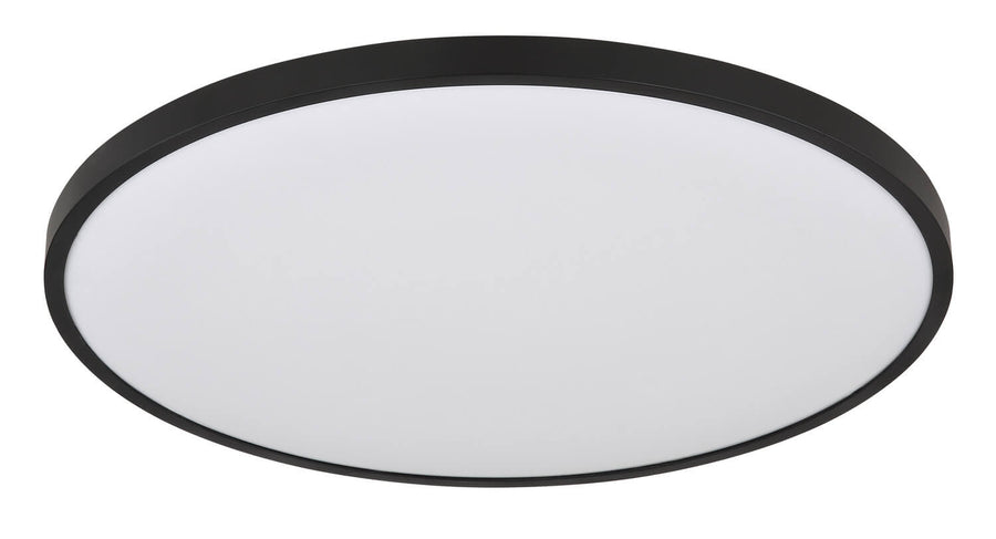 Détail du diffuseur blanc dépoli et de la finition noire mate du plafonnier.