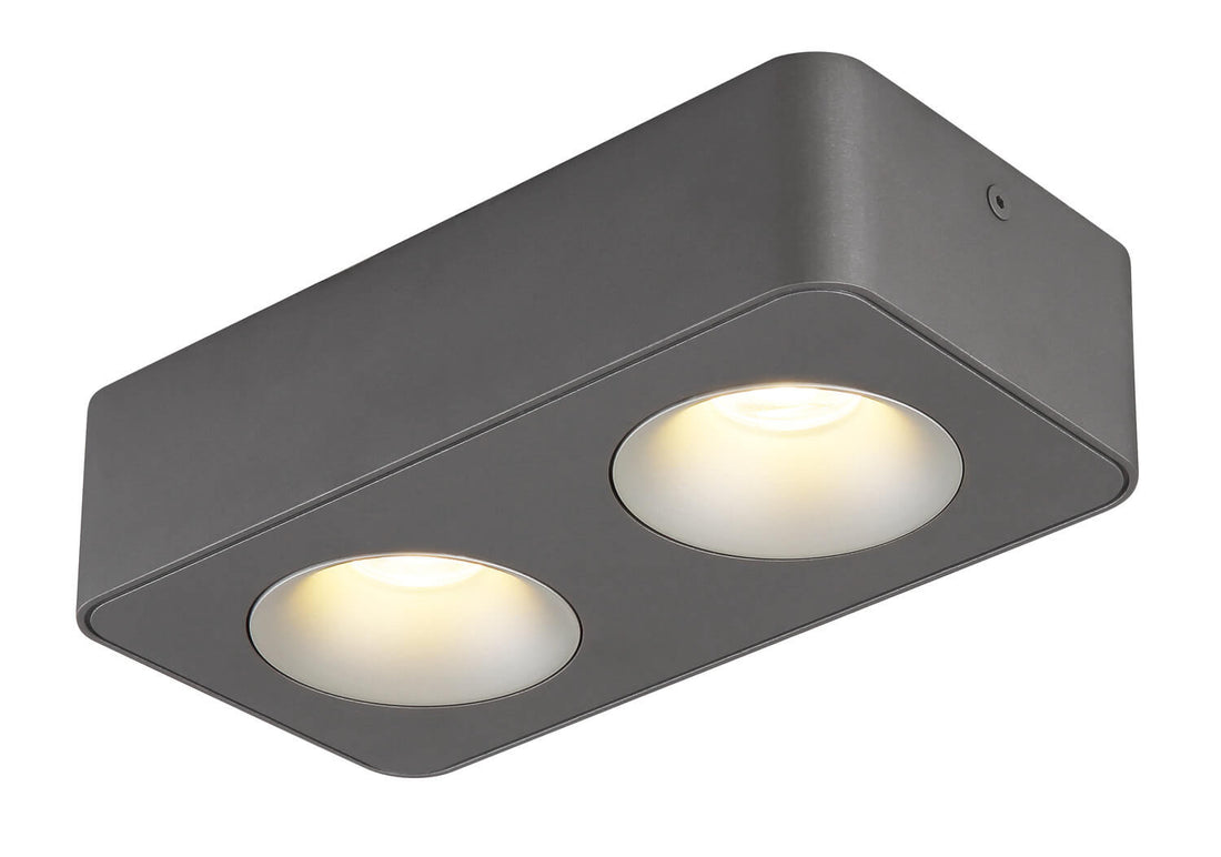Spot Hangarau gris et aluminium, L 22,4 cm (43100-2)