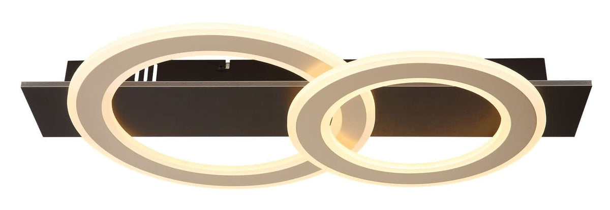 Vue de face du luminaire, montrant les deux anneaux superposés et la platine noire.