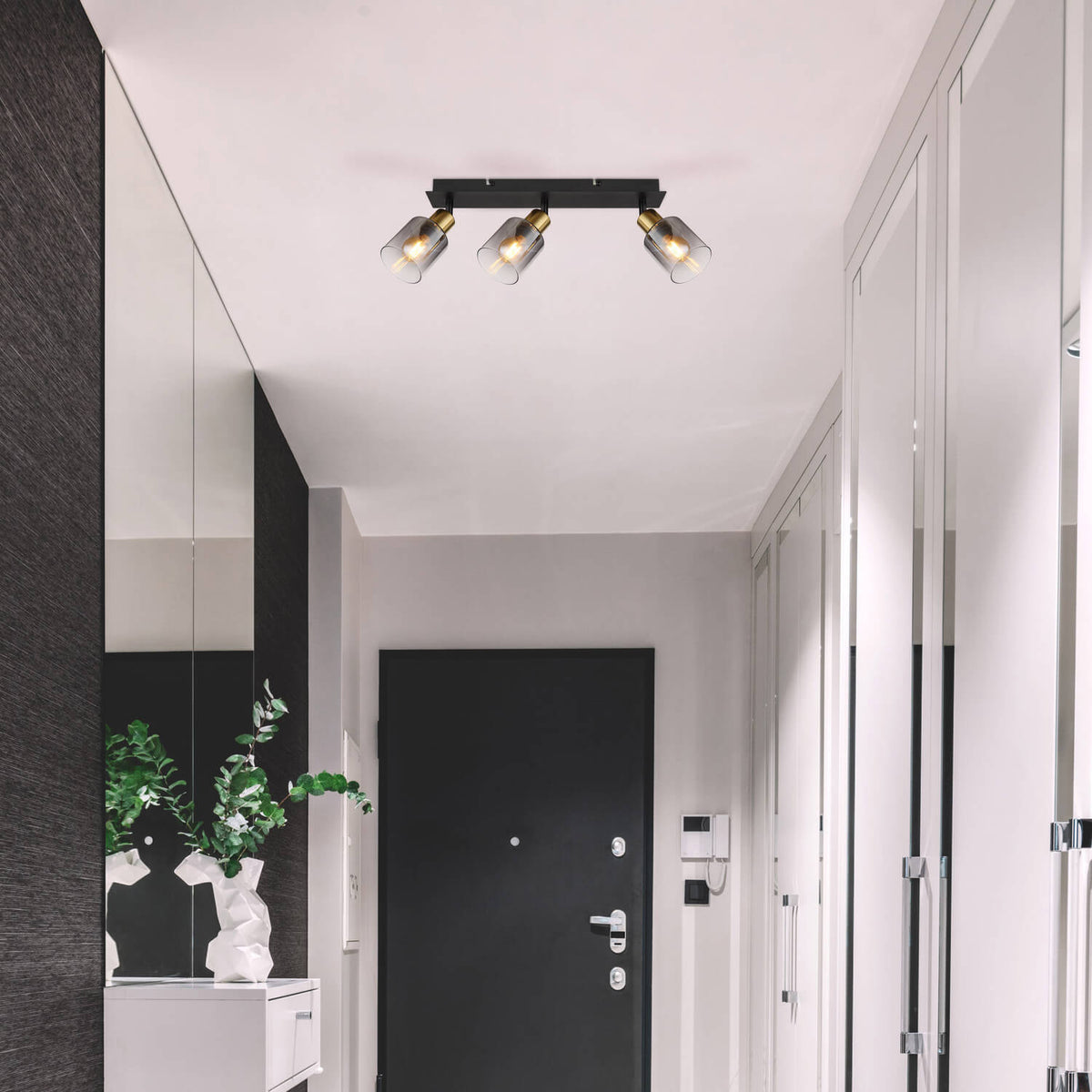 Mise en ambiance dans une entrée moderne, plafond blanc et portes vitrées