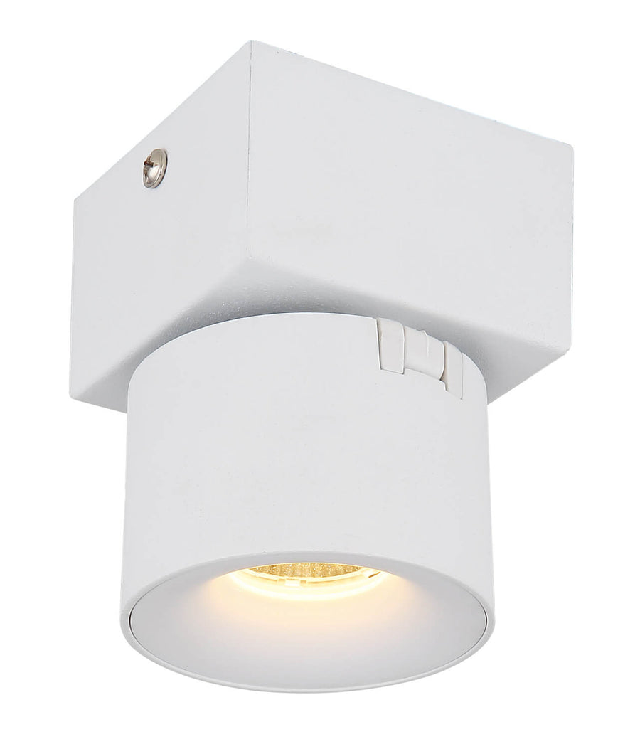 Spot Rae blanc mat, L 13 cm