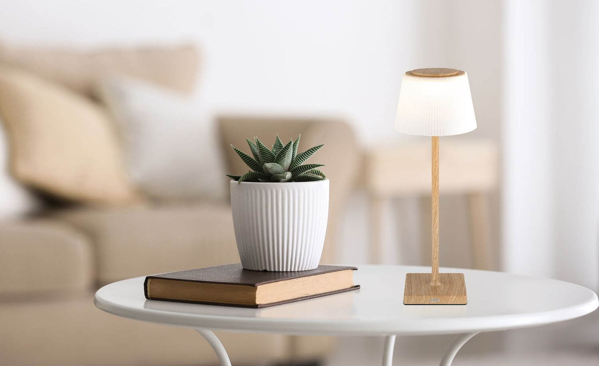 Mise en ambiance sur table basse blanche avec plante grasse et livres dans un salon.