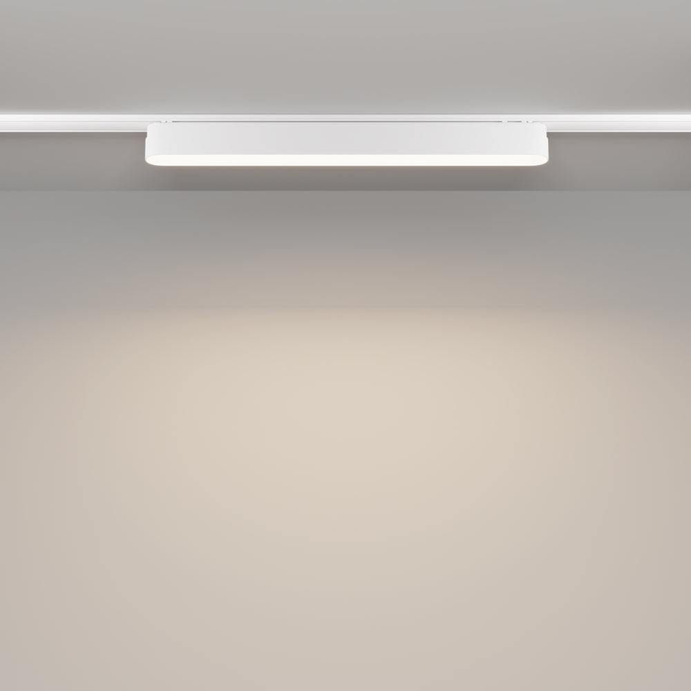 Basis Spot blanc