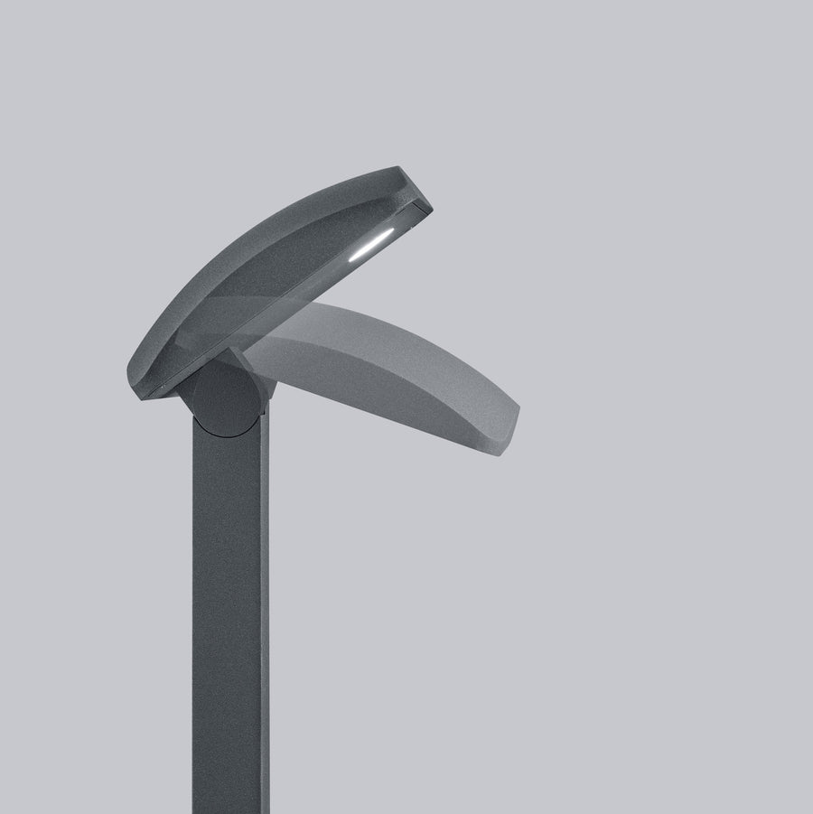 Gros plan sur la tête inclinée, montrant la source LED et la finition anthracite.