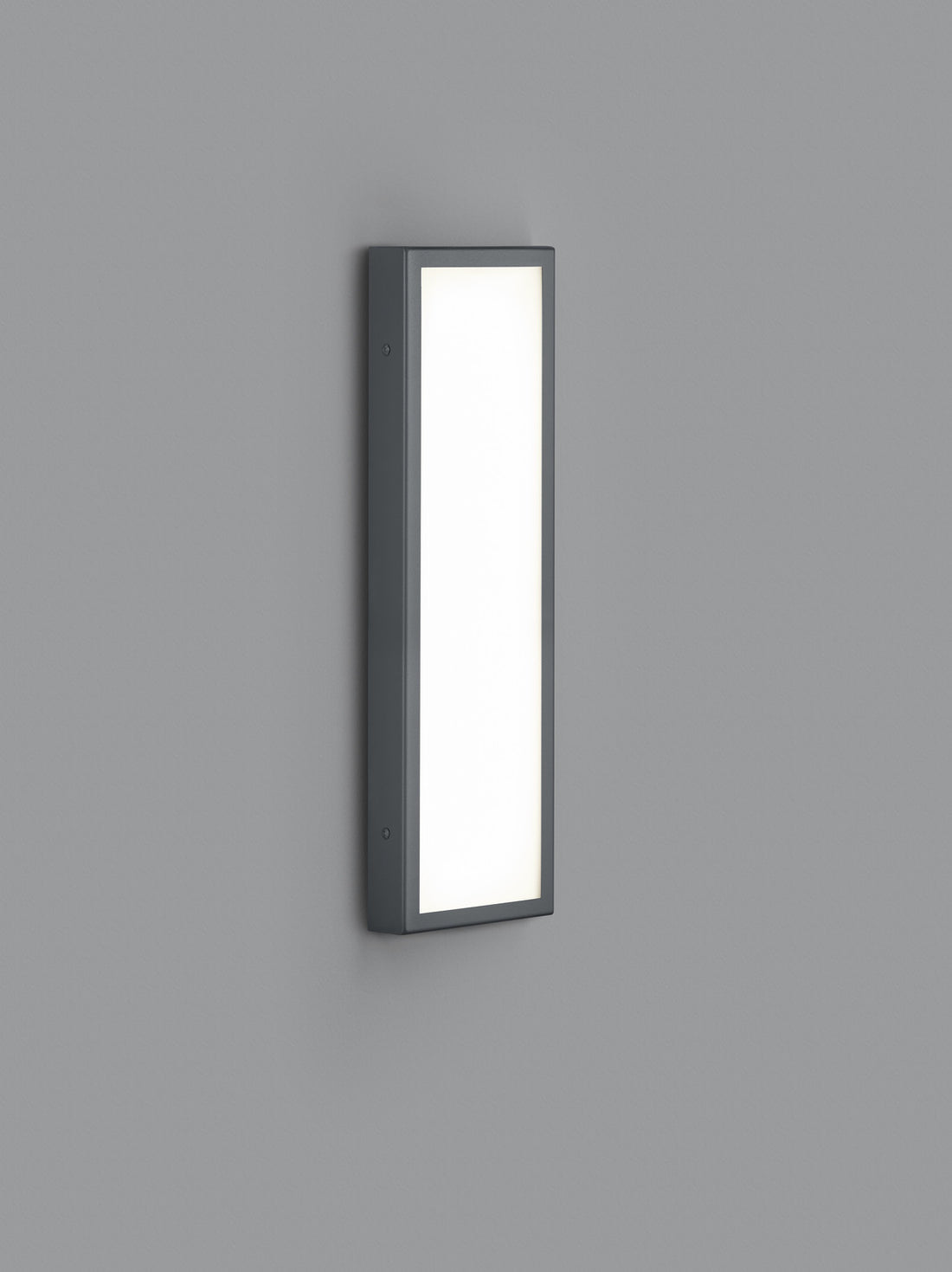 Applique extérieure Scala anthracite, L 45,5 cm