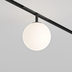 Luna Spot noir