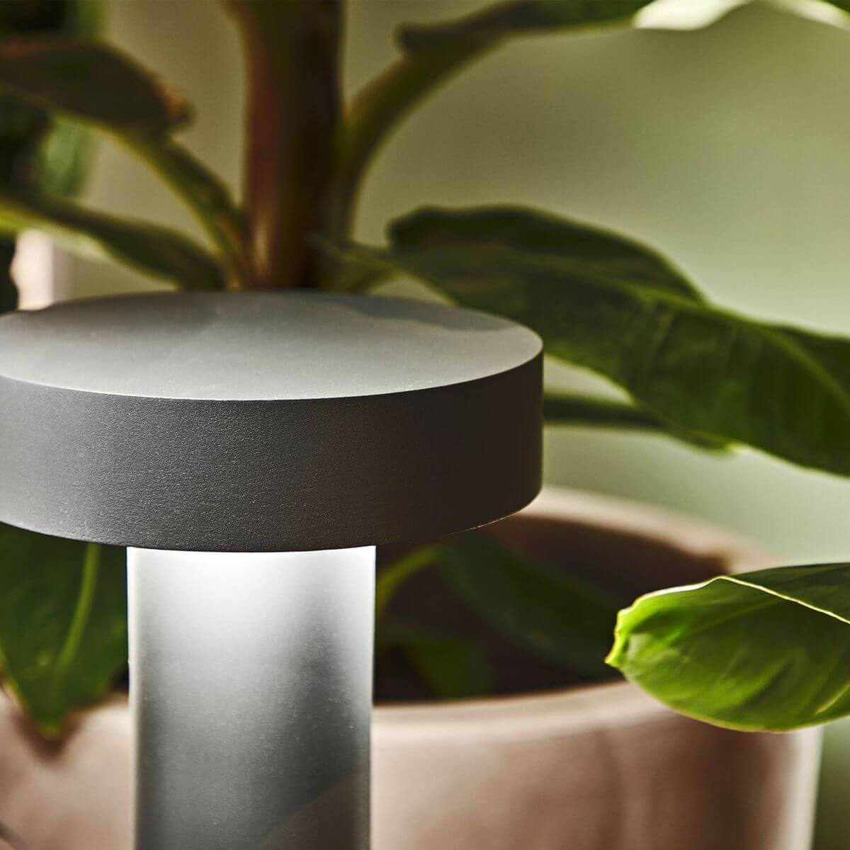 Lampadaire extérieur Tesla 4 lumières anthracite (153193)