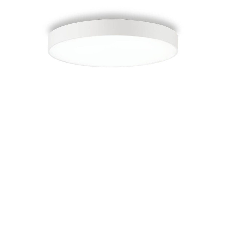 Vue de face d'un plafonnier blanc circulaire sur fond blanc.