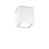 Plafonnier extérieur Techo blanc, verre, L 15 cm