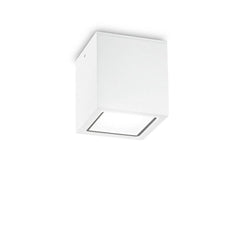 Plafonnier extérieur Techo blanc, verre, L 15 cm