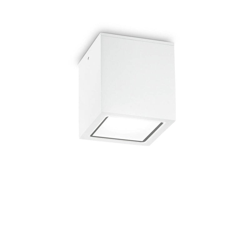 Plafonnier extérieur Techo blanc, verre, L 15 cm
