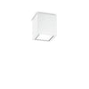 Plafonnier extérieur Techo blanc, verre, L 9 cm