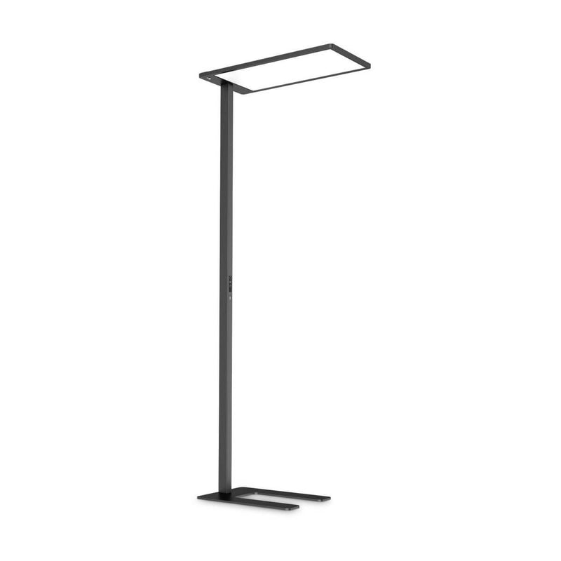 Lampadaire Comfort noir, verre (296678)