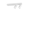 Plafonnier Profilo 2 lumières blanc