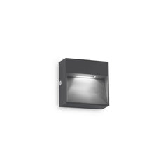 Applique extérieure Dedra anthracite, L 10 cm
