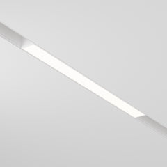 Basis Spot blanc
