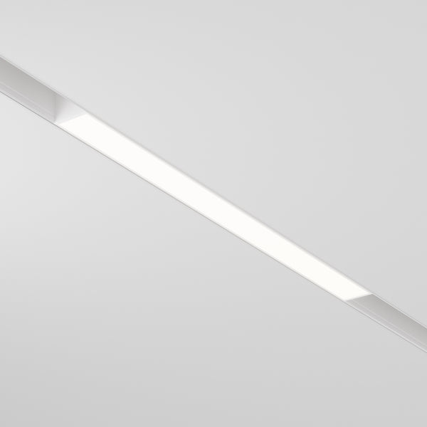 Basis Spot blanc