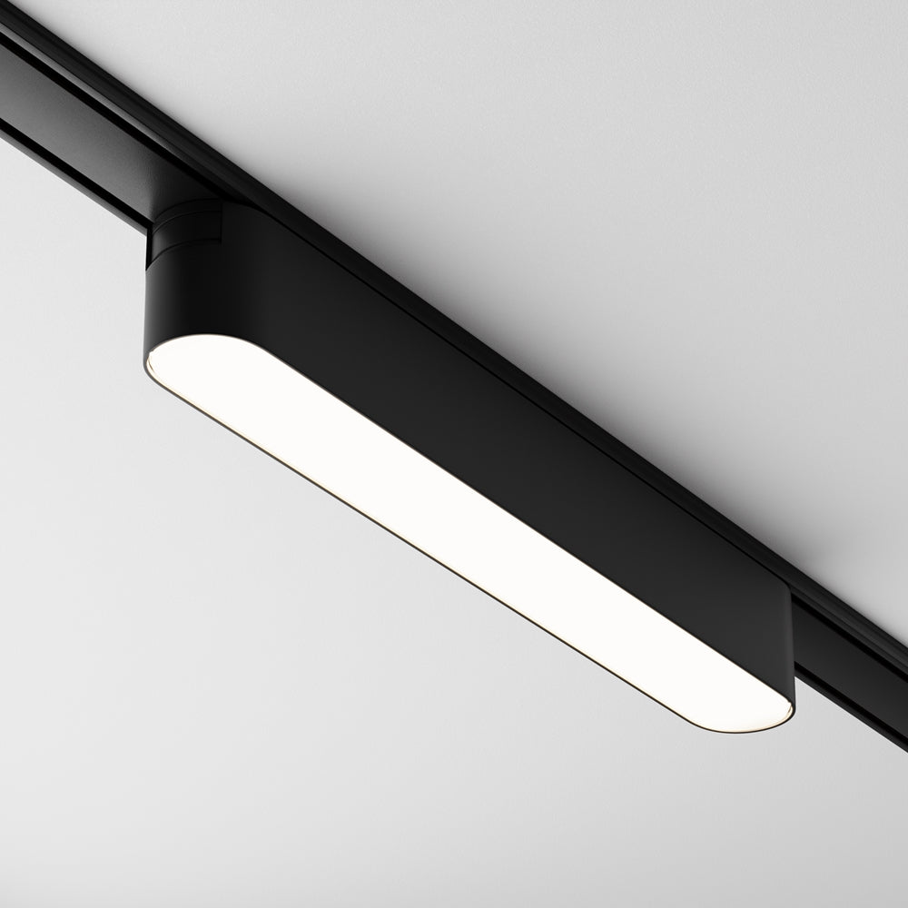 Basis Spot noir
