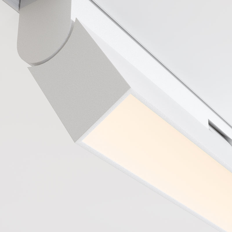Basis Rot Spot blanc