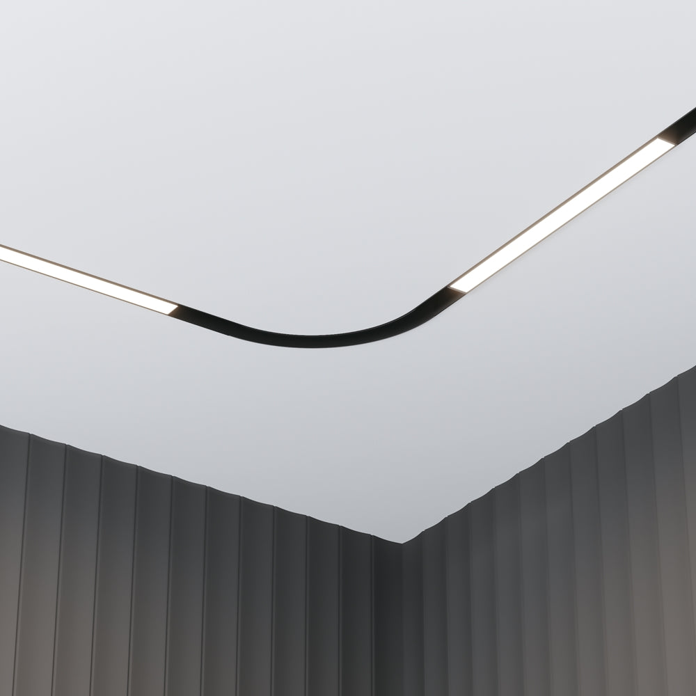 Basis Spot noir