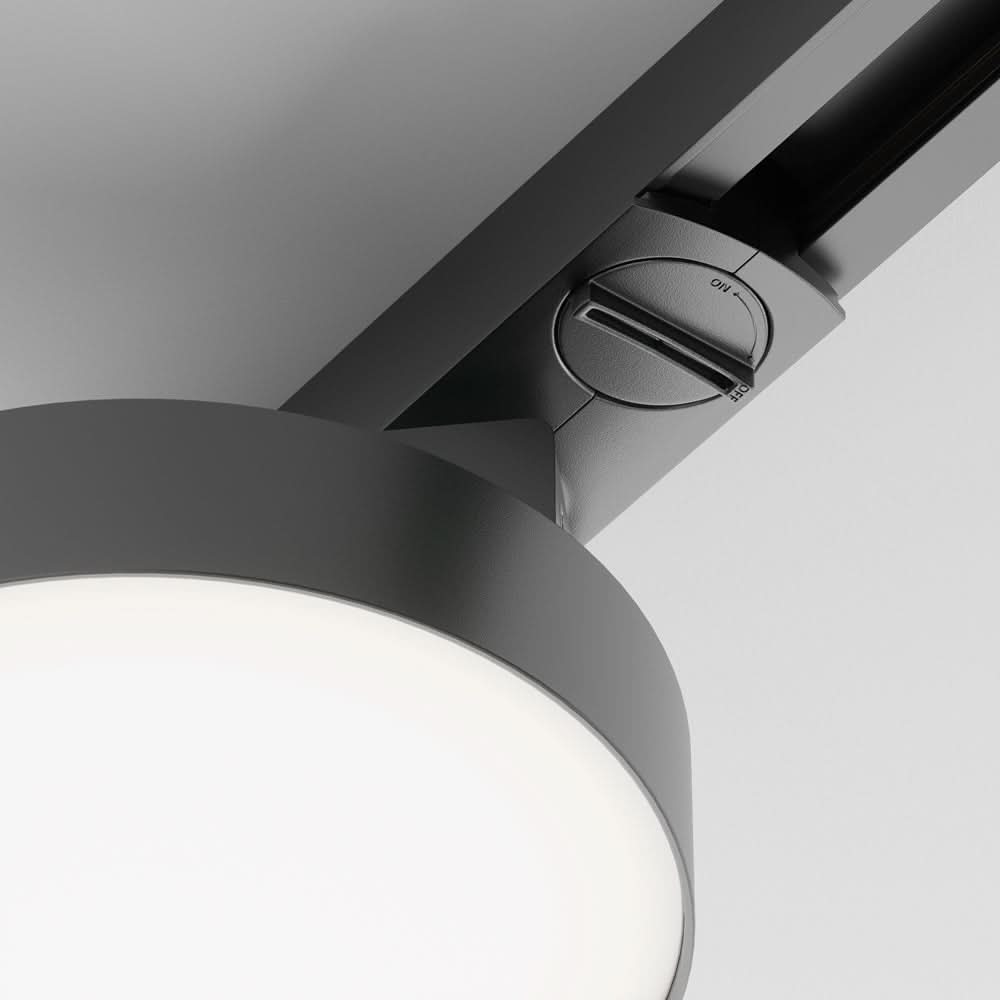 Zon Spot noir