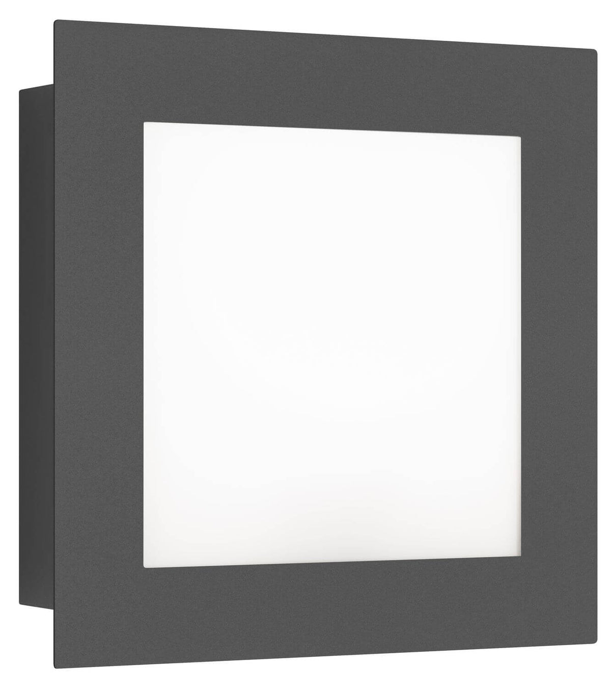 Applique extérieure Bewegungsmelder anthracite (3007LEDSEN)