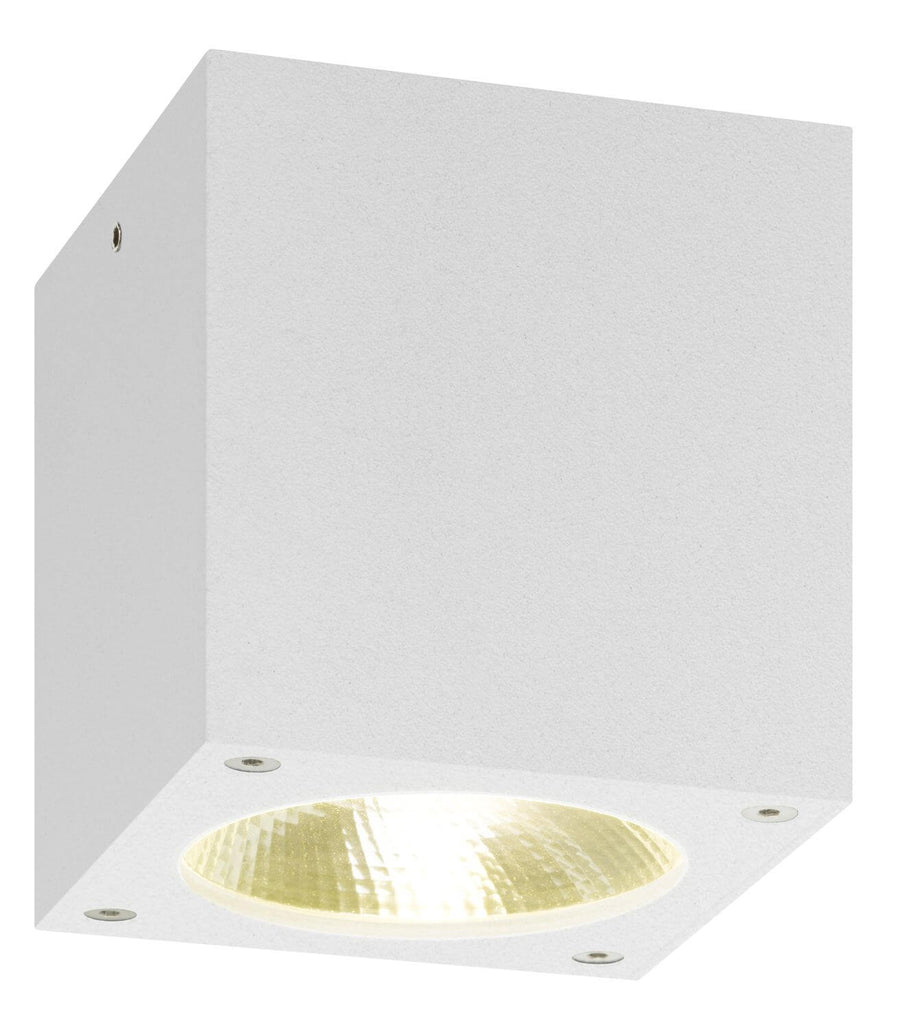 Plafonnier extérieur blanc (5029)