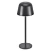 Lampe extérieure Endura Style anthracite et aluminium
