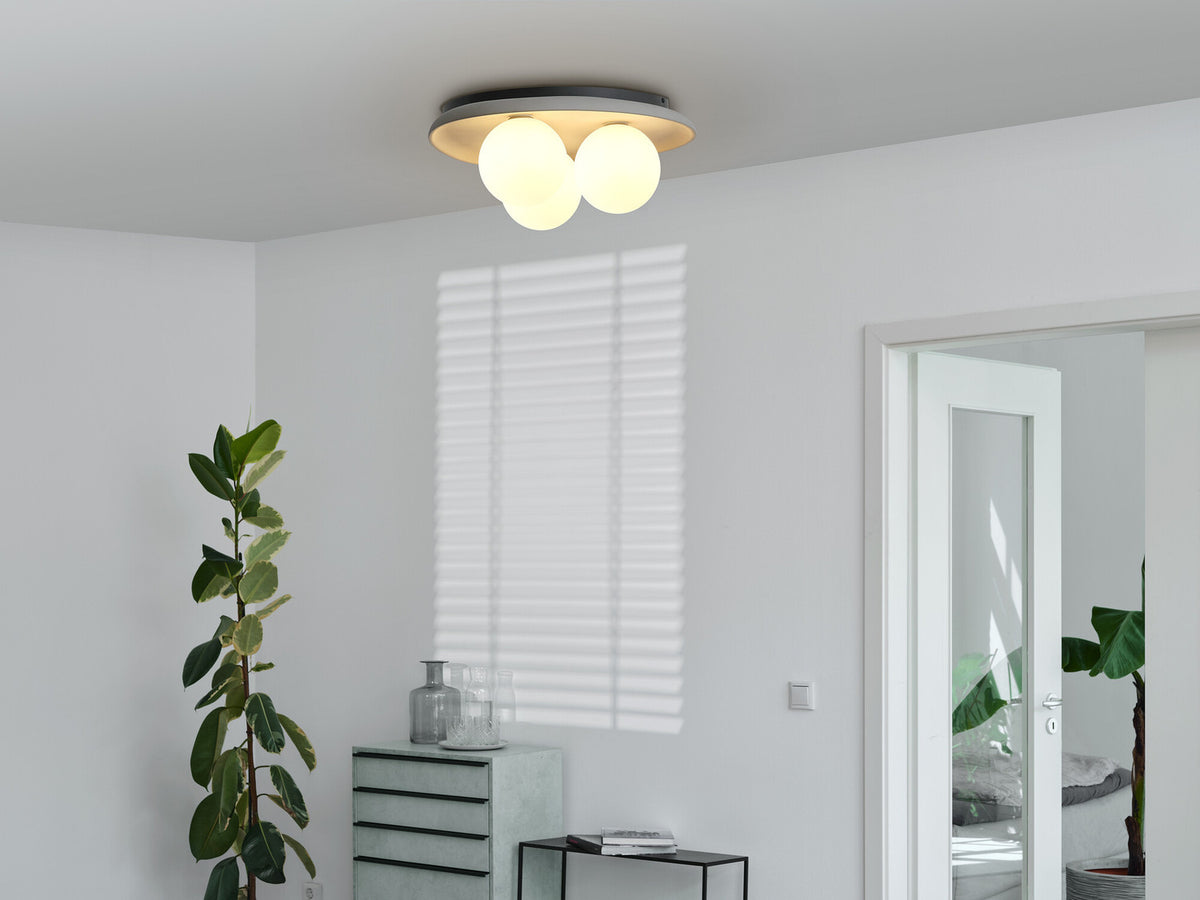 Plafonnier allumé fixé au plafond dans un salon blanc avec plante verte.