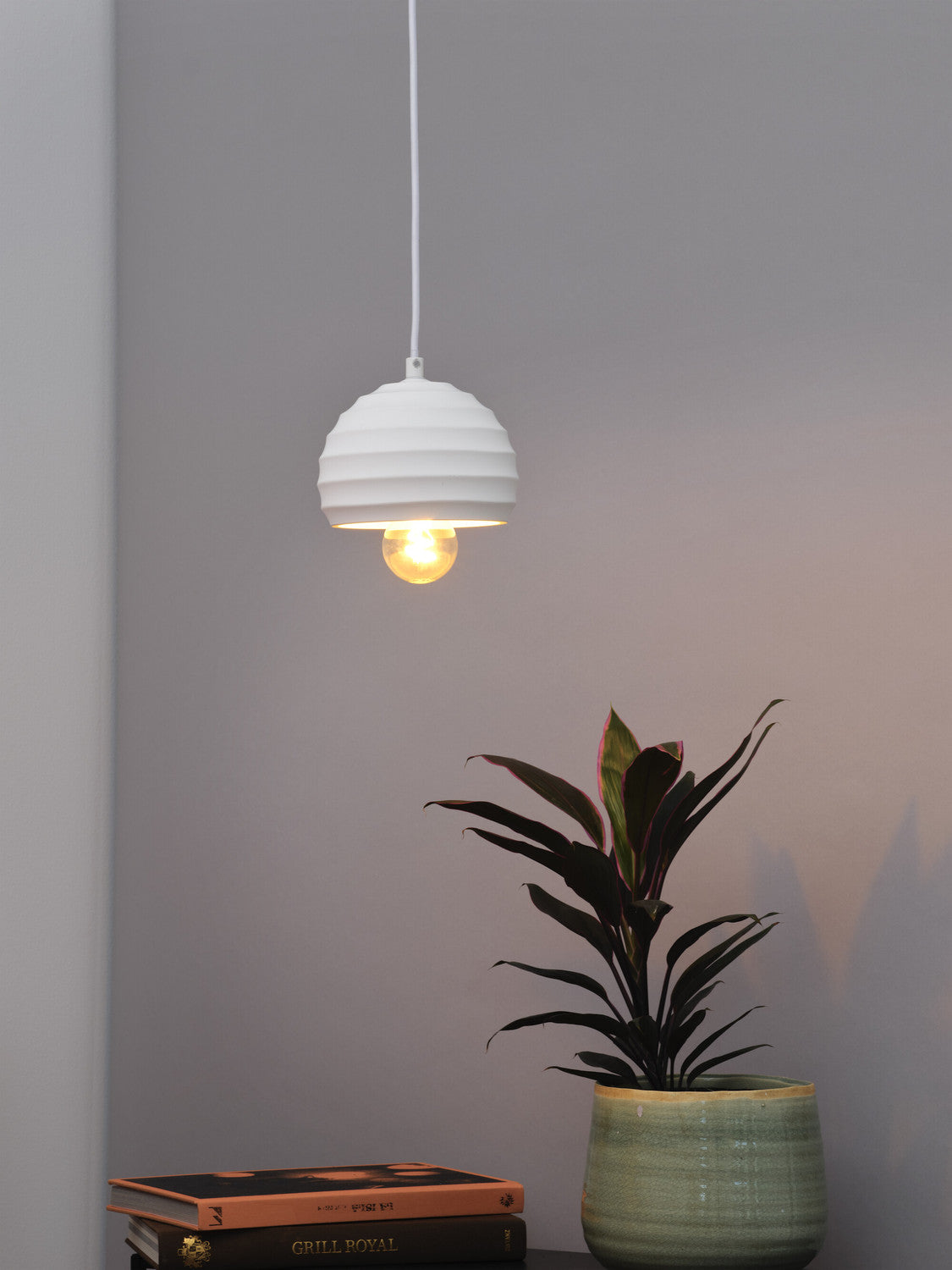 Suspension blanche avec ampoule allumée dépassant, au-dessus de livres et plante.