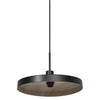 Suspension Plate noire et bois