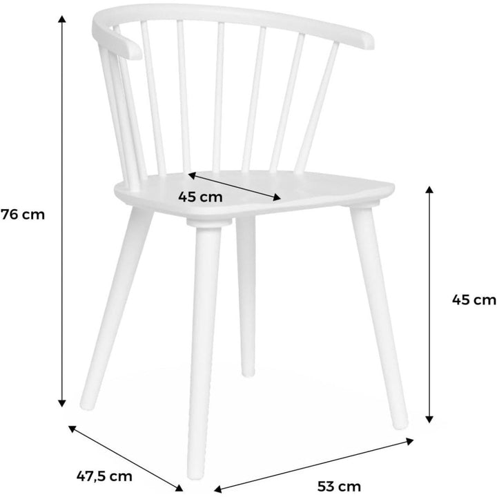 Lot 2 Chaises Bois Noir | Mousse - Designix Chaises