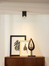 Luminaire plafonnier | Bodi Noir
