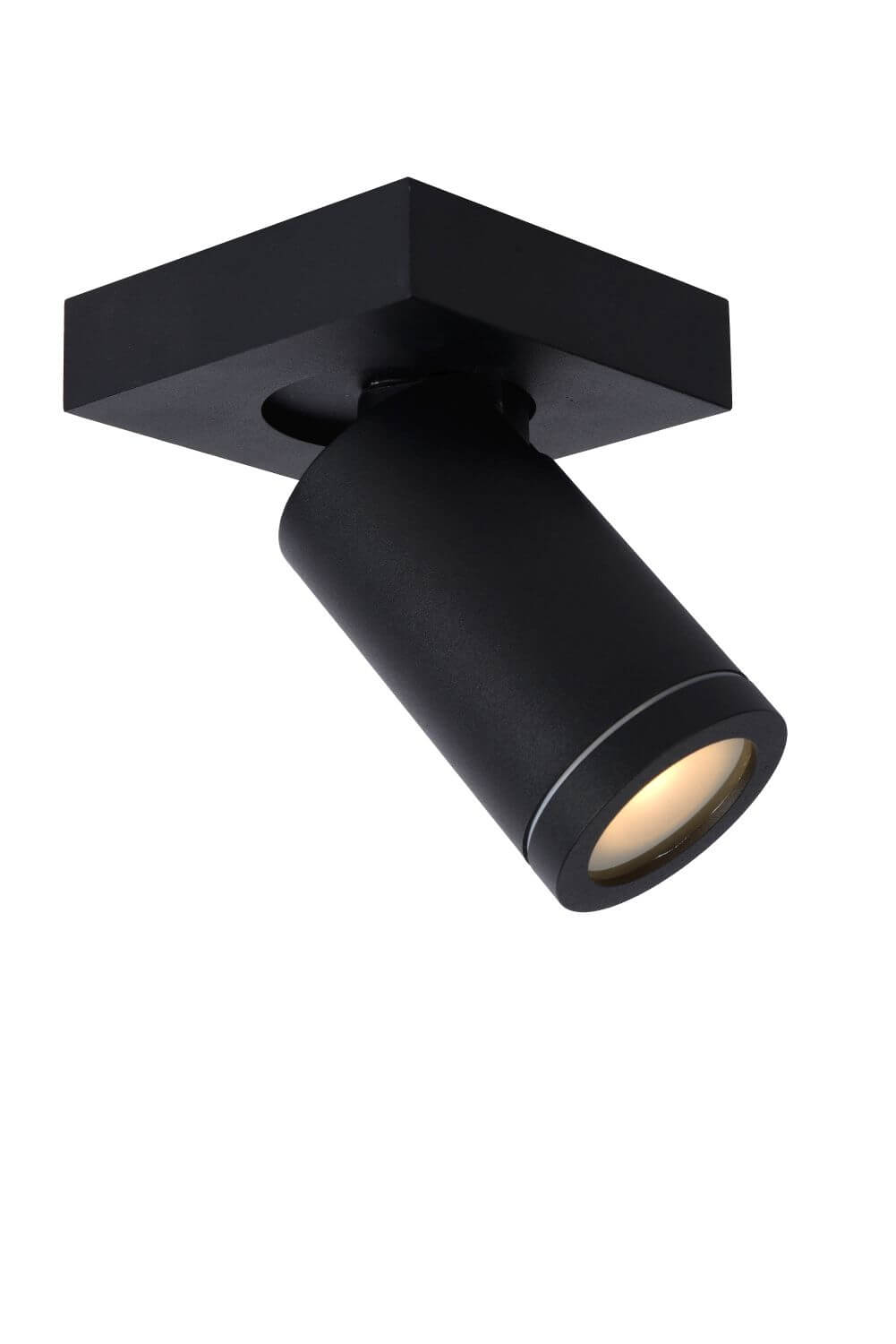 Plafonnier Taylor noir
