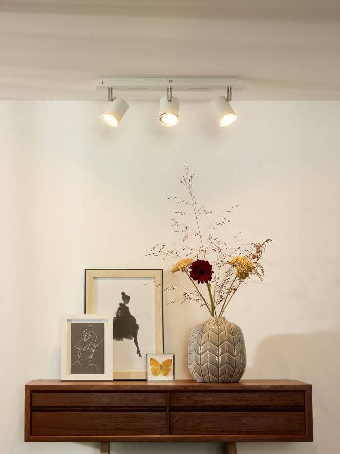 Luminaire plafonnier | Pellaris