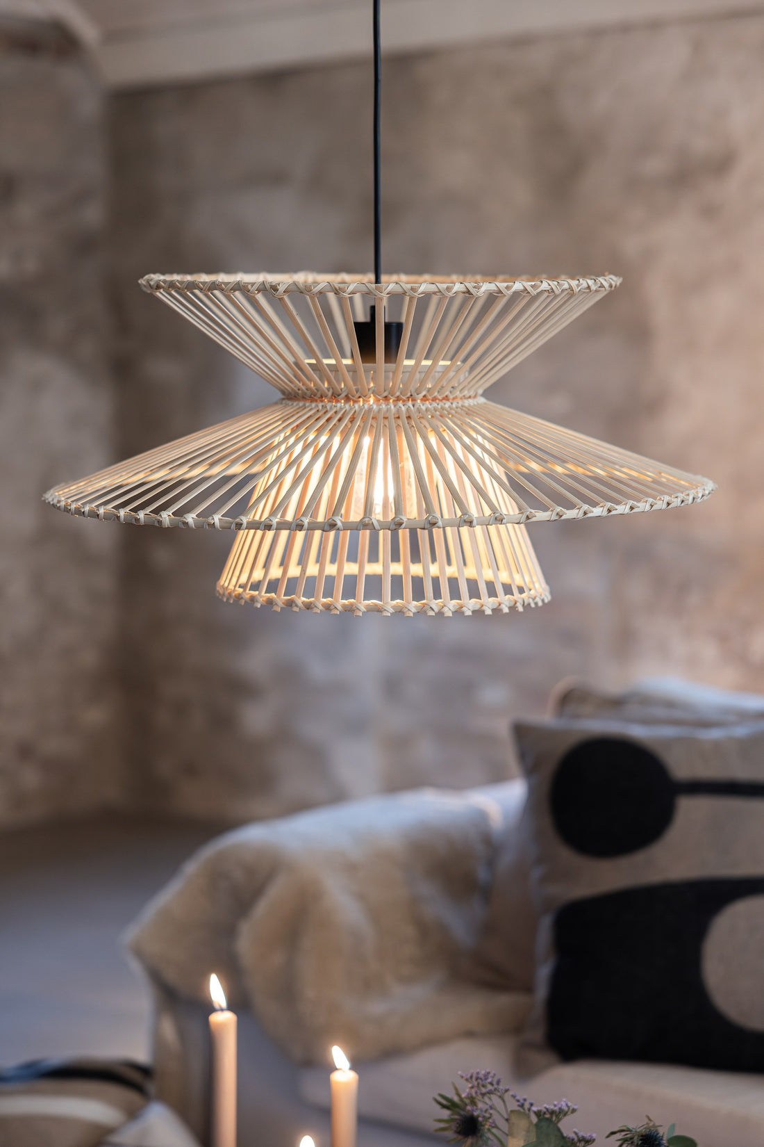 Suspension luminaire | Duplici