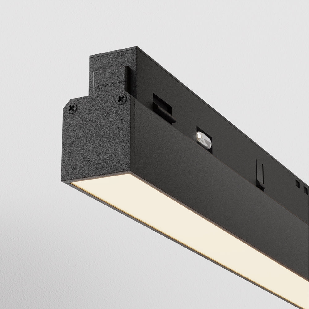 Basis Spot noir