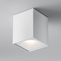 Zoom Plafonnier blanc