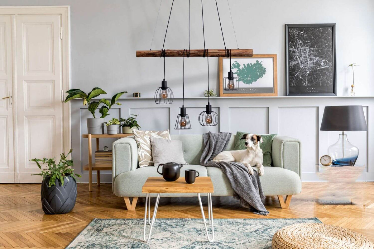 Mise en ambiance dans un salon avec canapé vert et chien sur une couverture