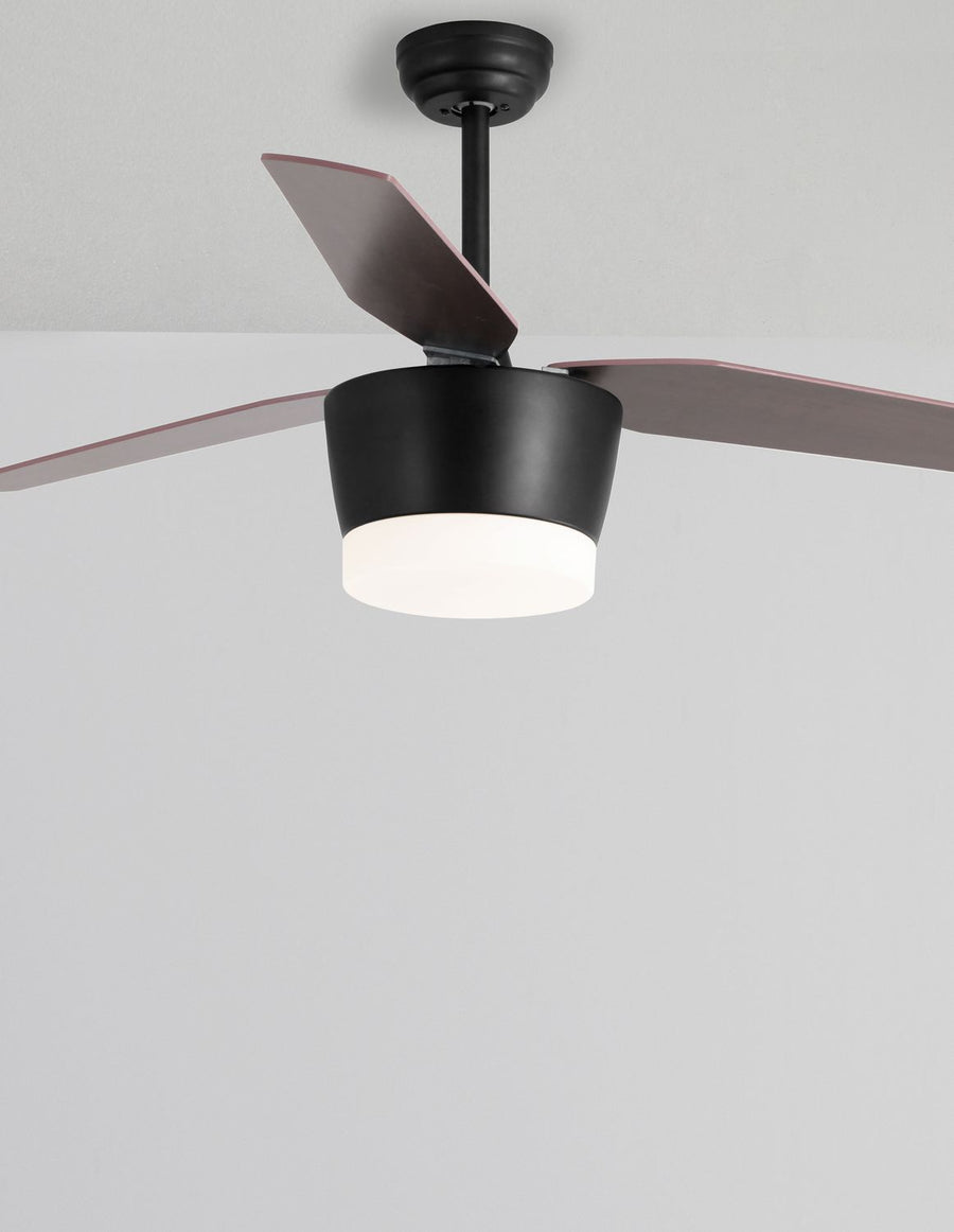 Ventilateur de plafond lumineux Monsoon noir, verre
