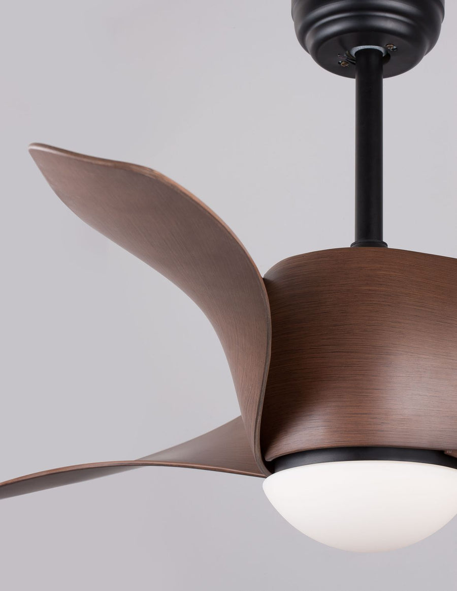 Ventilateur de plafond lumineux Breeze noir, verre