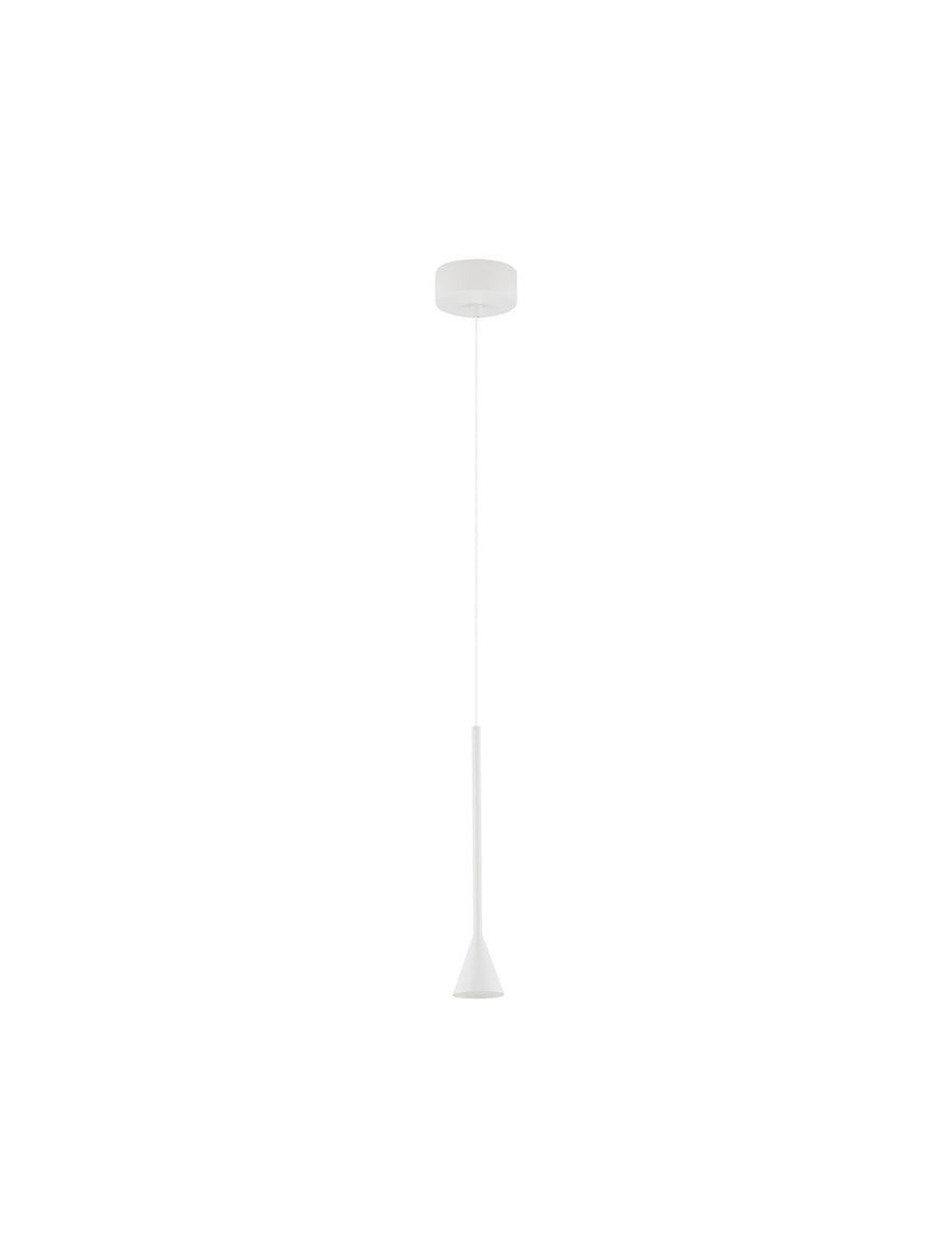 Vue de face du luminaire entier sur fond blanc, câble et rosace