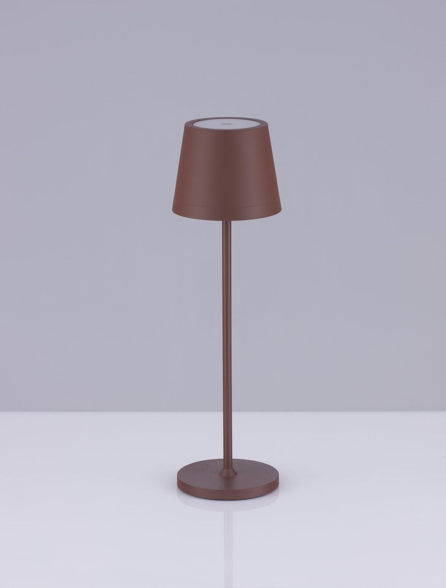 Lampe marron vue de face sur fond gris clair avec ombre portée
